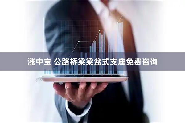 涨中宝 公路桥梁梁盆式支座免费咨询
