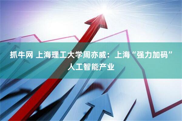 抓牛网 上海理工大学周亦威：上海“强力加码”人工智能产业